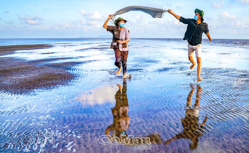 Bãi bồi Mũi Cà Mau